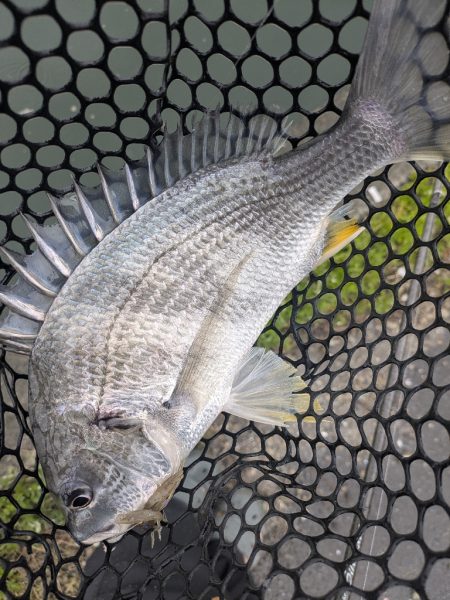 雨中ドSチニング！