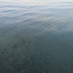 寒すぎた:;((•﹏•๑)));: