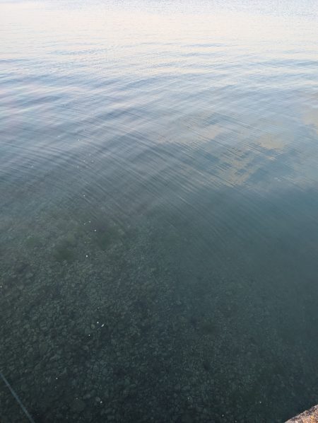 寒すぎた:;((•﹏•๑)));: