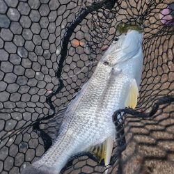 春爆チニング！