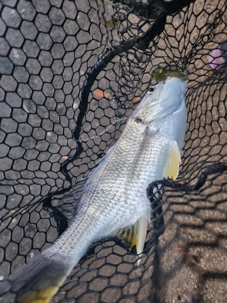 春爆チニング！