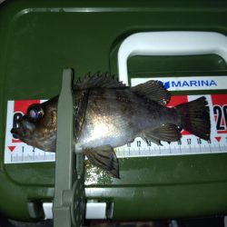 連敗脱出メバリング