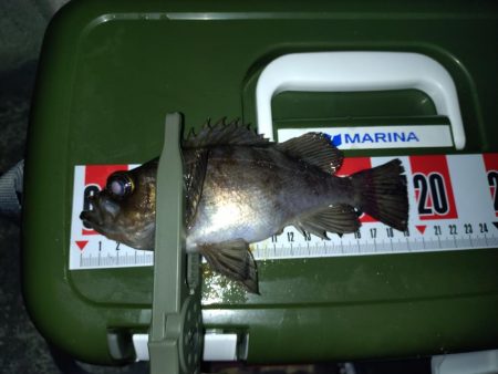 連敗脱出メバリング