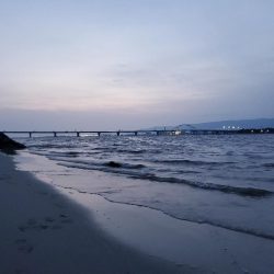 小潮でも行ける。でもボラだらけ