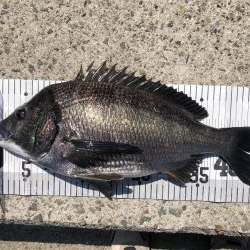 イチノ兄弟、釣果！