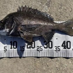 イチノ兄弟、釣果!