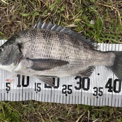 イチノ兄弟、釣果！