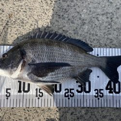 イチノ兄弟、釣果！