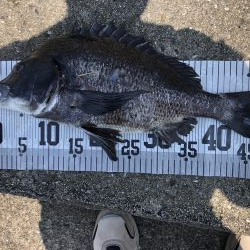 イチノ兄弟、釣果！