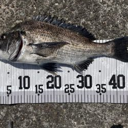 イチノ兄弟、釣果！