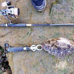 今月も釣れるとは…