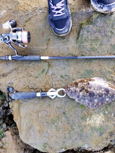 今月も釣れるとは…