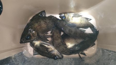 あたりぼちぼち