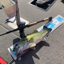 GW初日北山田55〜40cm 4発