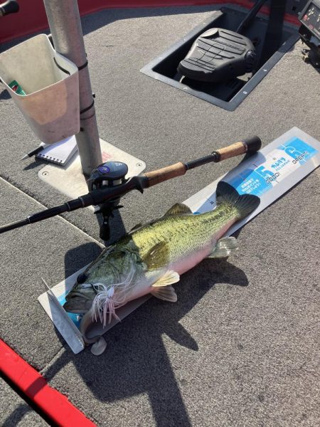 GW初日北山田55〜40cm 4発