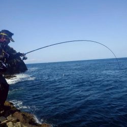 和歌山大引（上野渡船）の磯でフカセ釣り
