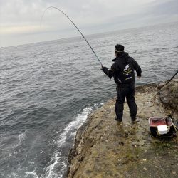 和歌山市江(吉丸渡船)でグレ釣り