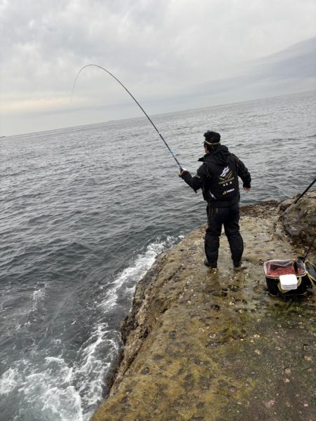 和歌山市江(吉丸渡船)でグレ釣り