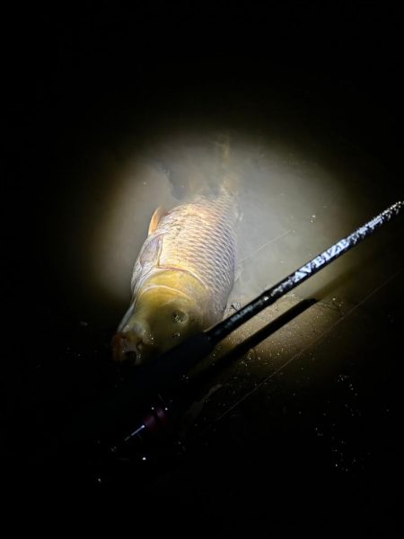 ボトムのカーピング！