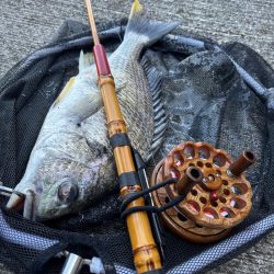 ヘチってきました