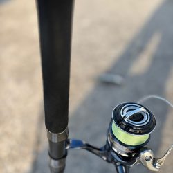 ボチボチ魚っ気が…