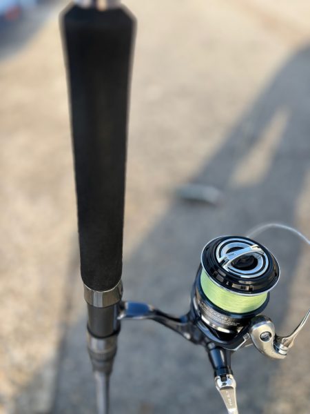 ボチボチ魚っ気が…