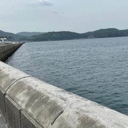 2025年　色々と初‼️