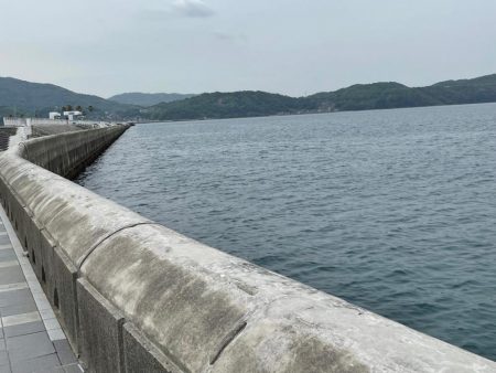 2025年　色々と初‼️