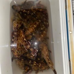 カサゴマンションかタワー