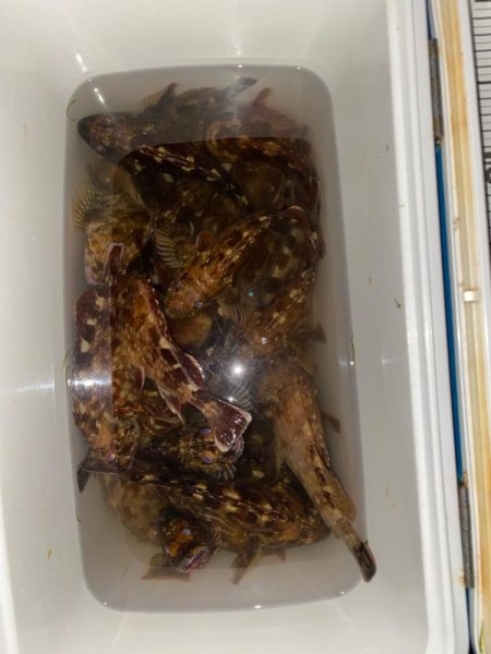 カサゴマンションかタワー