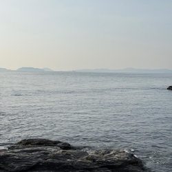 久々のライトゲーム