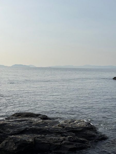 久々のライトゲーム