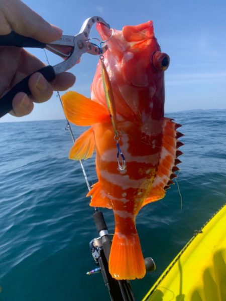 カヤックフィッシング