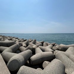 魚津港フカセグレ