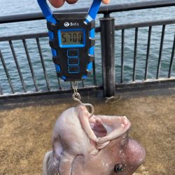 ようやく今年初投稿