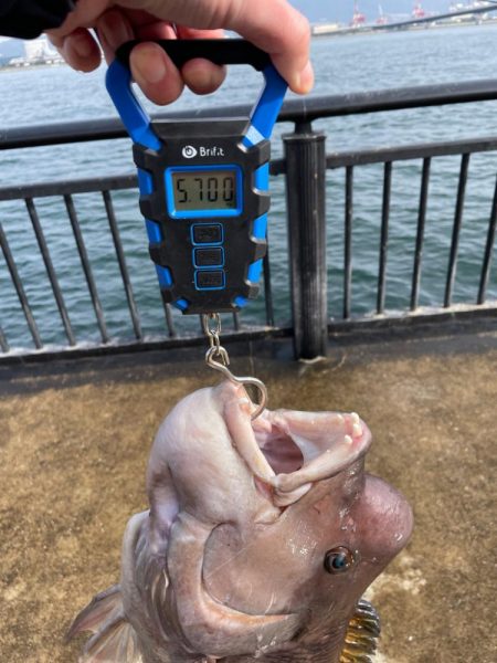 ようやく今年初投稿