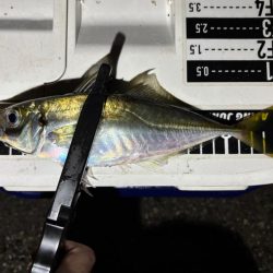 多少の雨なら行く！