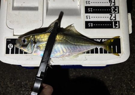 多少の雨なら行く！