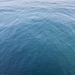 春開幕 絶好エギング