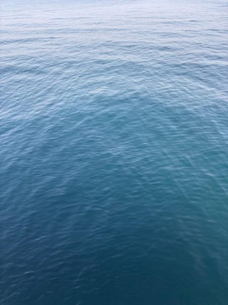 春開幕 絶好エギング