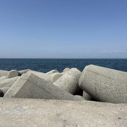 魚津港フカセ 過去イチサイズ揃う