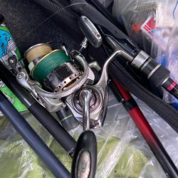 朝マズメのカマス釣りで10匹GET