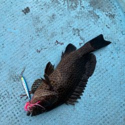 伝馬で沖にでました