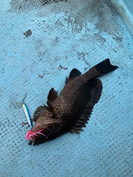 伝馬で沖にでました