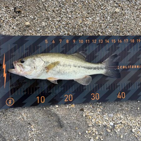 スポーン突入💦