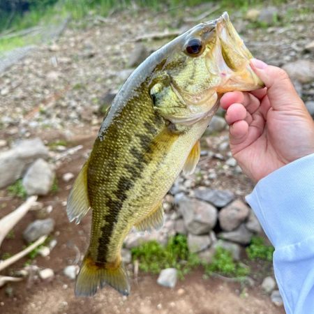 フリック牧場を満喫🌸