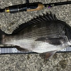 テンションフォール