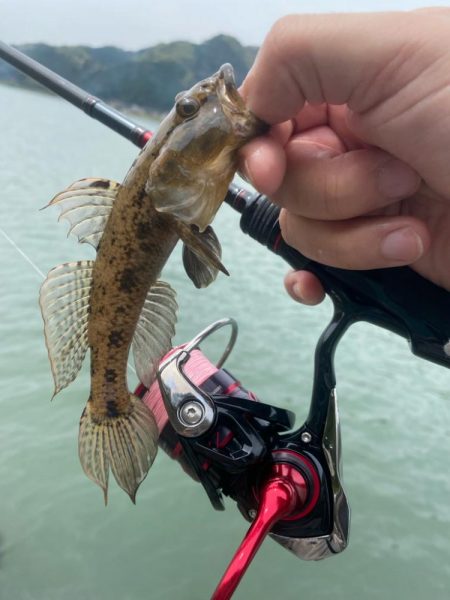 ライトゲーム五目　in養老