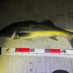 良い流れから出た2本