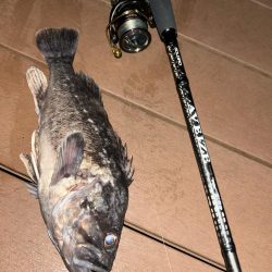 ボートメバリング！